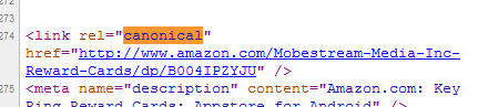 Canonical Tag